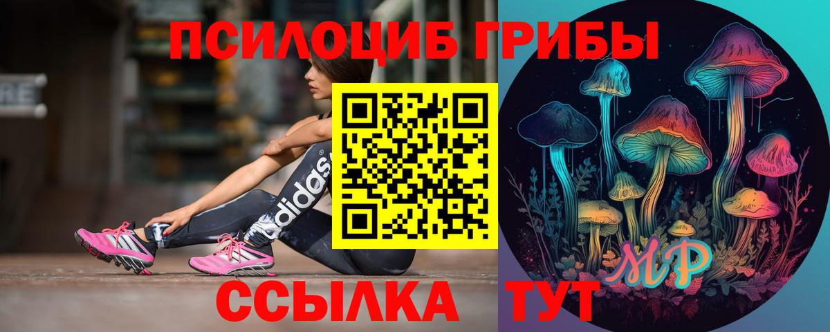 Псилоцибиновые грибы ЛСД Северск